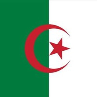 flag of algeria